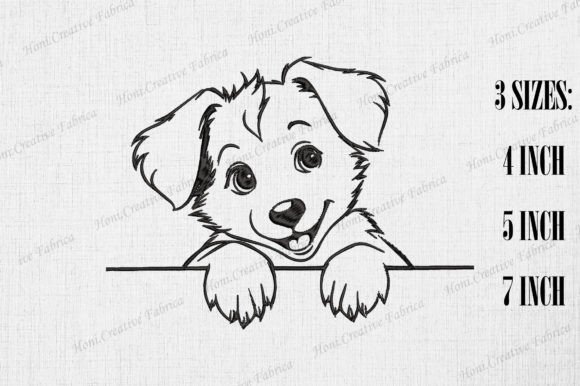 Cute Australian Shepherd Peeking Wall Review