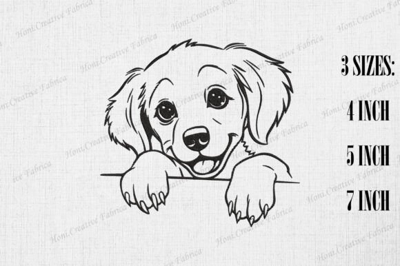 Cute Golden Retriever Dog Peeking Wall Review